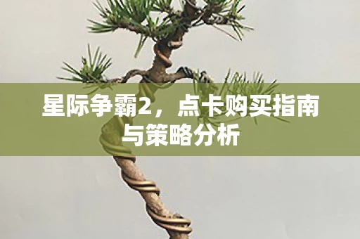 点卡购买指南与策略分析图片