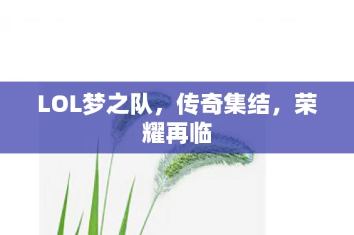 LOL梦之队图片