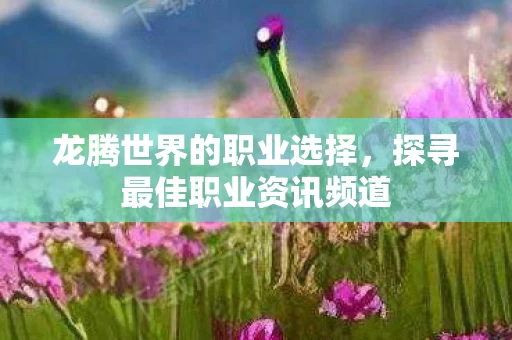 探寻最佳职业资讯频道图片