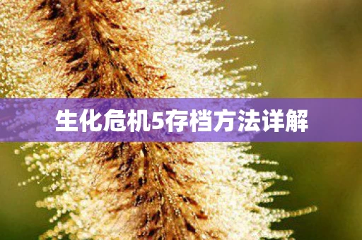 生化危机5存档方法详解图片
