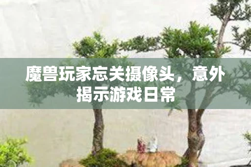 魔兽玩家忘关摄像头图片
