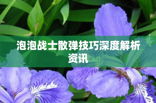 泡泡战士散弹技巧深度解析资讯图片