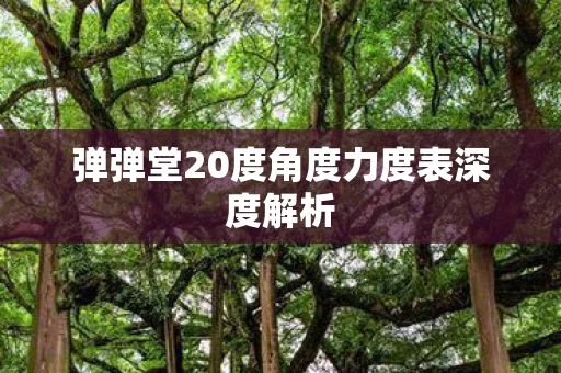 弹弹堂20度角度力度表深度解析图片