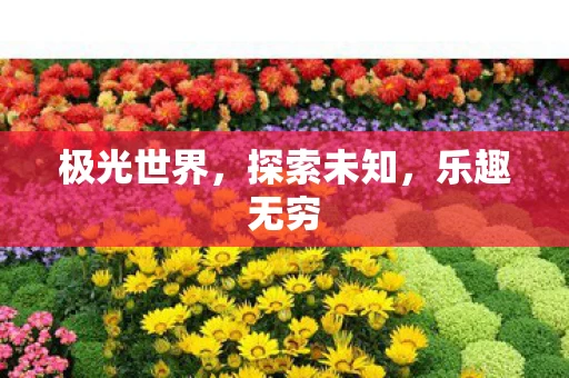 极光世界图片