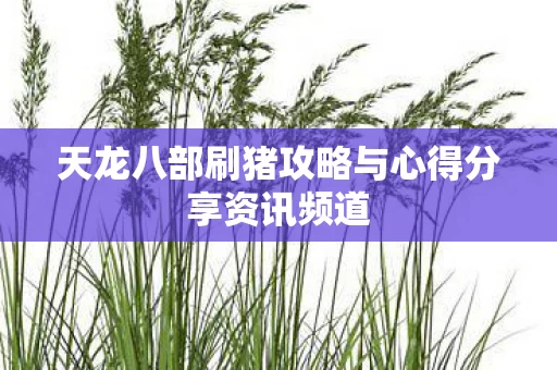 天龙八部刷猪攻略与心得分享资讯频道图片