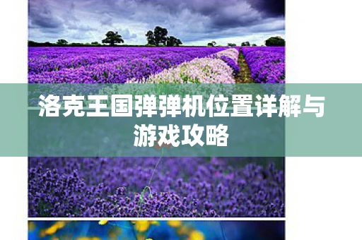 洛克王国弹弹机位置详解与游戏攻略图片
