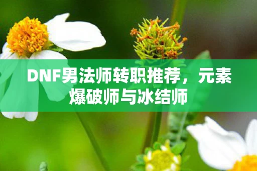 DNF男法师转职推荐图片