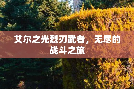 艾尔之光烈刃武者,无尽的战斗之旅 艾尔之光烈刃武者,无尽的战斗之旅