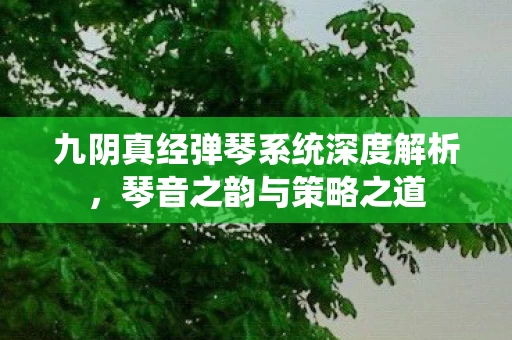 九阴真经弹琴系统深度解析图片