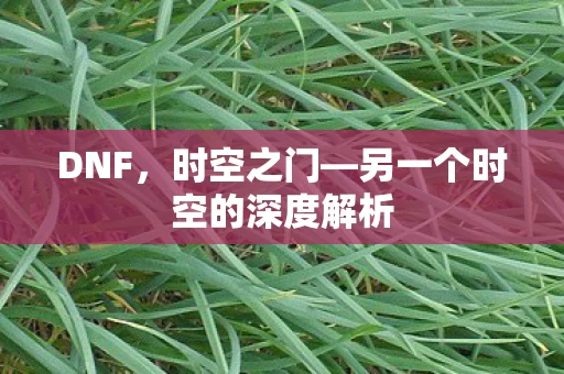 另一个时空的深度解析图片