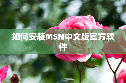 如何安装MSN中文版官方软件图片