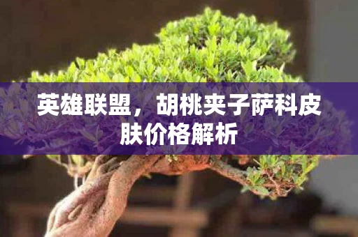胡桃夹子萨科皮肤价格解析图片
