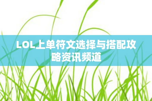 LOL上单符文选择与搭配攻略资讯频道图片