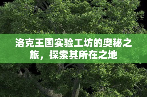 洛克王国实验工坊的奥秘之旅图片