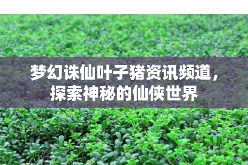 梦幻诛仙叶子猪资讯频道图片