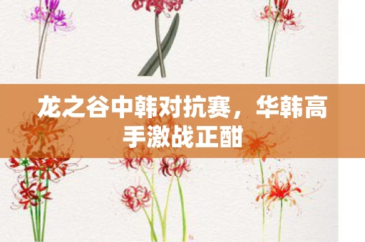 龙之谷中韩对抗赛图片