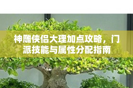 门派技能与属性分配指南图片
