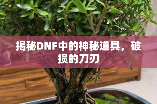 揭秘DNF中的神秘道具图片