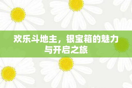 银宝箱的魅力与开启之旅图片