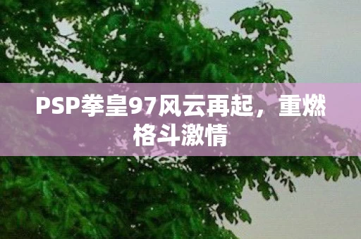 PSP拳皇97风云再起图片
