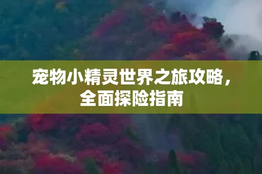 宠物小精灵世界之旅攻略图片