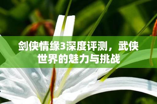 武侠世界的魅力与挑战图片