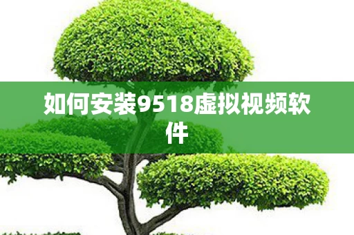 如何安装9518虚拟视频软件图片