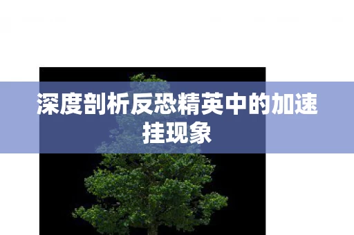深度剖析反恐精英中的加速挂现象图片