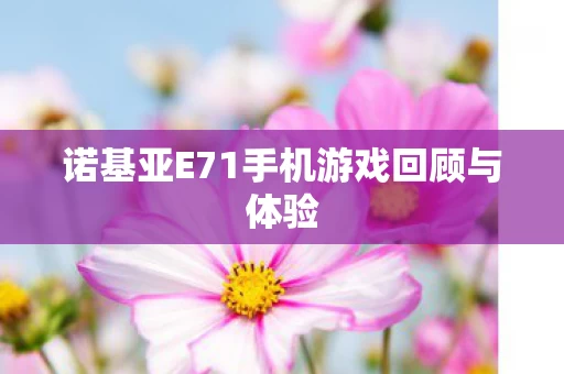 诺基亚E71手机游戏回顾与体验图片