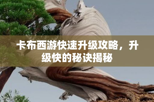 卡布西游快速升级攻略图片