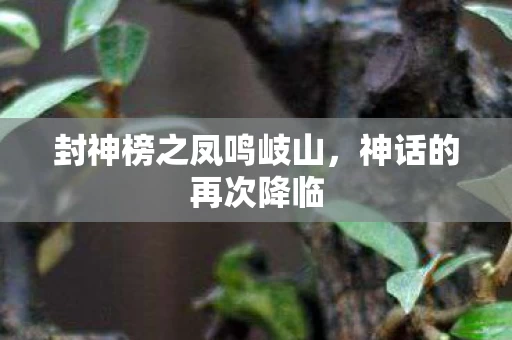 封神榜之凤鸣岐山图片