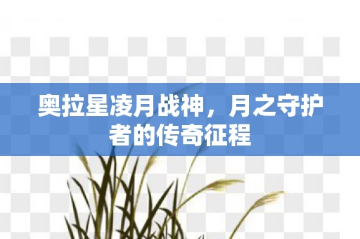 月之守护者的传奇征程图片