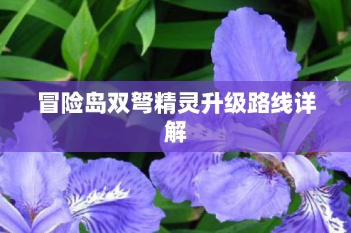 冒险岛双弩精灵升级路线详解图片