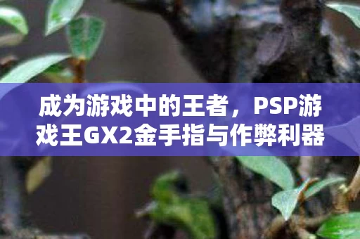 成为游戏中的王者，PSP游戏王GX2金手指与作弊利器探索