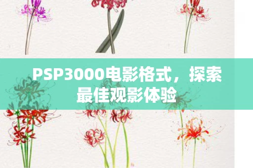 PSP3000电影格式图片