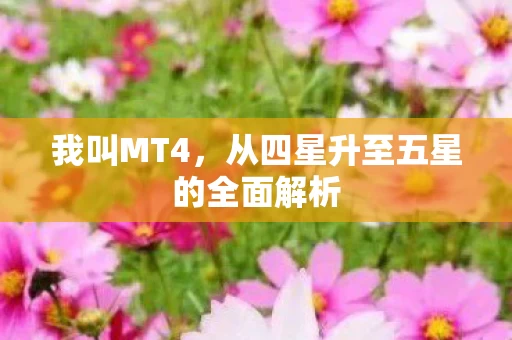 从四星升至五星的全面解析图片