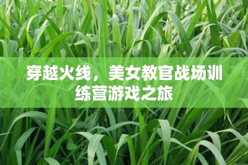 美女教官战场训练营游戏之旅图片