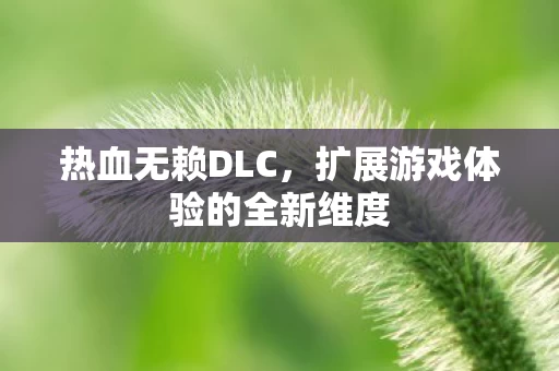 扩展游戏体验的全新维度图片