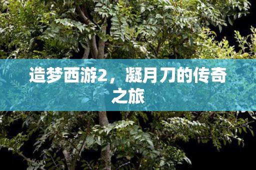 凝月刀的传奇之旅图片