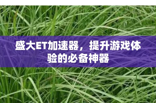 提升游戏体验的必备神器图片