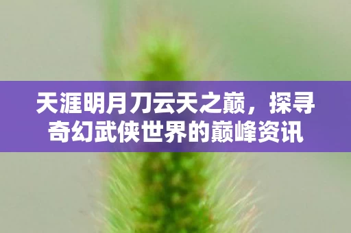 探寻奇幻武侠世界的巅峰资讯图片