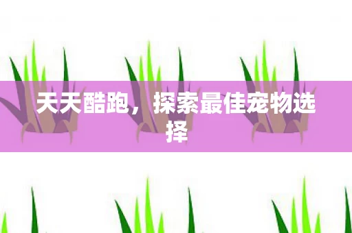 探索最佳宠物选择图片