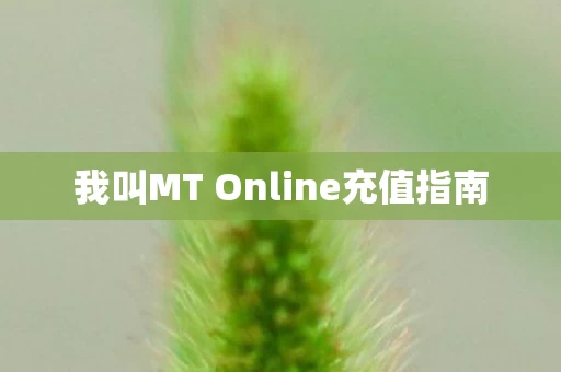 我叫MT Online充值指南图片