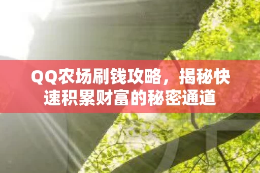 揭秘快速积累财富的秘密通道图片