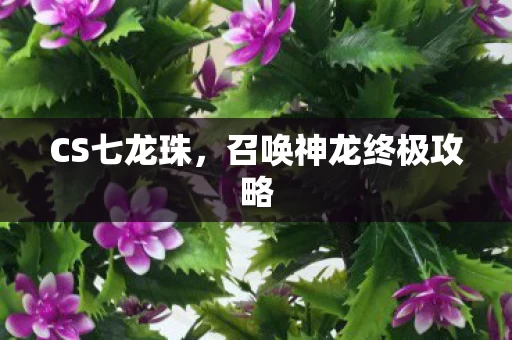 召唤神龙终极攻略图片