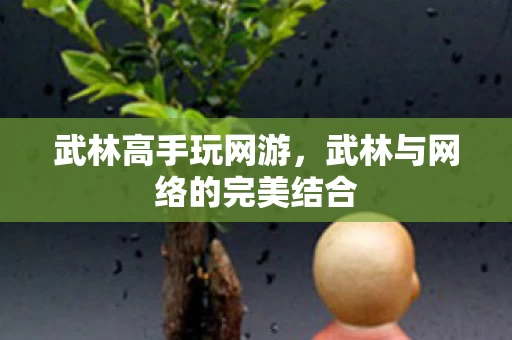 武林与网络的完美结合图片