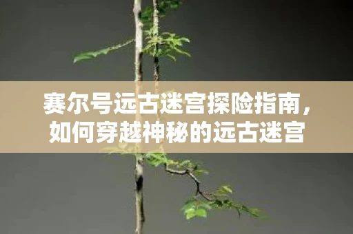赛尔号远古迷宫探险指南图片