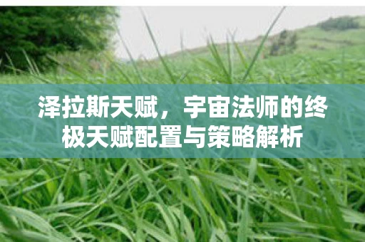宇宙法师的终极天赋配置与策略解析图片