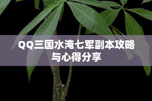 QQ三国水淹七军副本攻略与心得分享图片