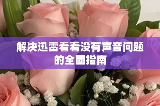 解决迅雷看看没有声音问题的全面指南图片